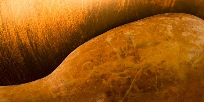 Gourd