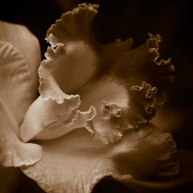 Soft Edges