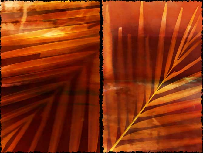 Fronds Deckled