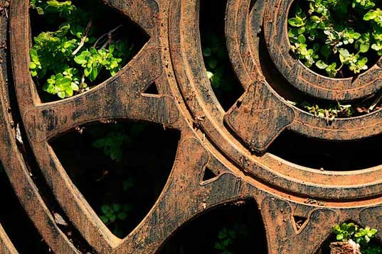 Garden Wheel